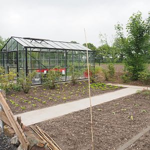 Area for autistic staff members - Vegetable and herb garden and greenhouse, 2022-05-17