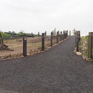 Walkway across dirt berm between two parts of the South American exhibit, 2022-05-17