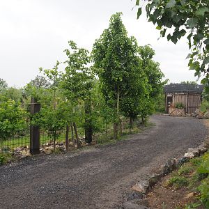 Walkway between the South American exhibit and the new wetland aviary, 2022-05-17