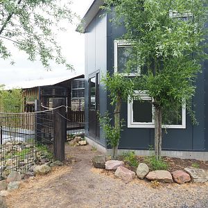 Future spider monkey house and outdoor exhibit - Housing Black-casqued hornbills at the time of my visit, 2022-05-17