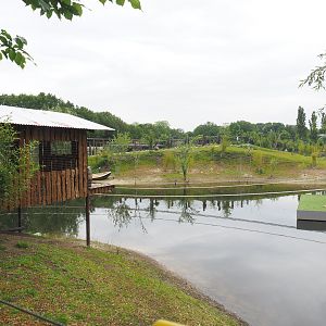 South American exhibit with future spider monkey outdoor exhibit, 2022-05-17