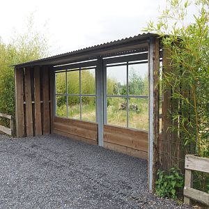 Maned wolf viewing area, 2022-05-17