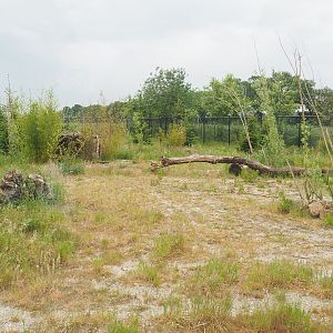 Maned wolf exhibit, 2022-05-17