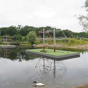 South American exhibit with new floating islands for future spider monkey exhibit, 2022-05-17