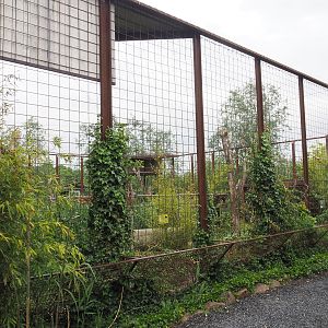 Steller's sea eagle aviary, 2022-05-17