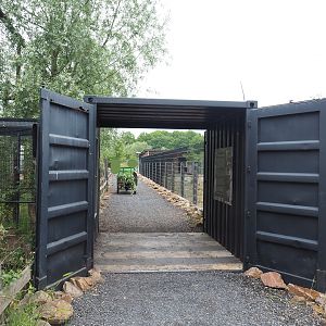 Siberian weasel viewing area, 2022-05-17