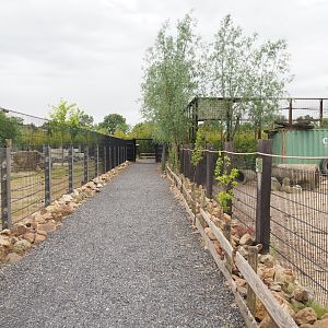 Walkway between Rocky Mountain goat and White-lipped peccary paddocks, 2022-05-17