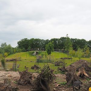 Part of the White-lipped peccary paddock and South American exhibit, 2022-05-17