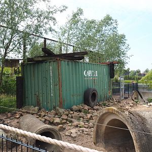 White-lipped peccary holding barn and shelters, 2022-05-17