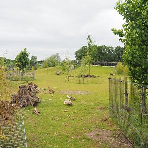 South American exhibit, 2022-05-17