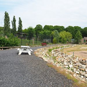 Park viewing with parts of Bactrian camel paddock and Dhole exhibit, 2022-05-17