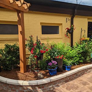 New butterfly house at the Greensboro Science Center