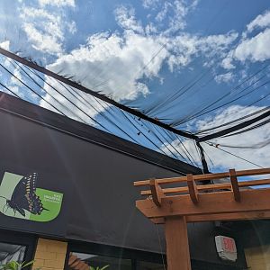 New butterfly house at the Greensboro Science Center
