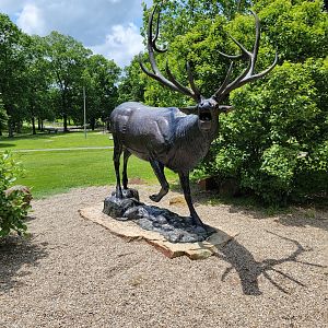 Salato - Elk statue outside entrance