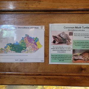 Salato - Signage example