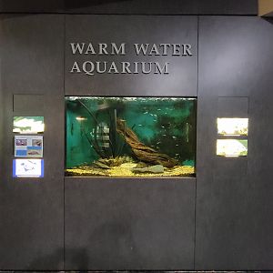 Salato - Redear sunfish, bluegill, largemouth bass, common snapping turtle