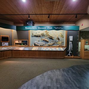 Salato - Kentucky's record fish