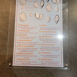 Salato - Signage for mussels