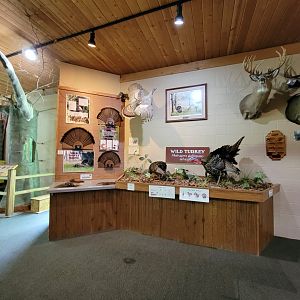 Salato - Wild turkey