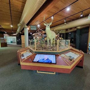 Salato - End of the room