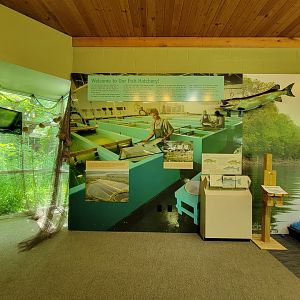 Salato - Fishing info