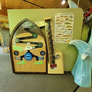 Salato - Fishing info game for kids