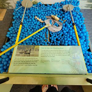 Salato - Fishing game for kids