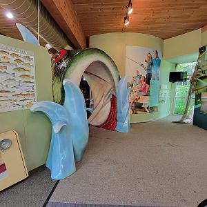 Salato - Back of fish arch