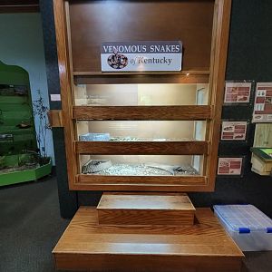 Salato - Venomous snakes of KY (copperhead, timber, cottonmouth)