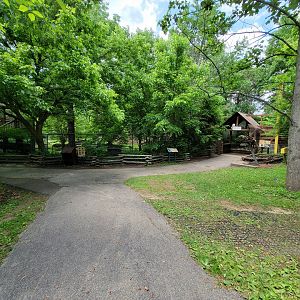 Salato - Path, bear in front, eagle to right