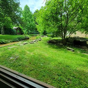 Salato - Bear viewing from glass windows