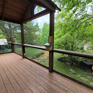 Salato - Bear viewing platform