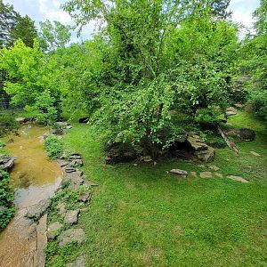 Salato - Bear yard from platform