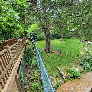 Salato - Bear yard from platform