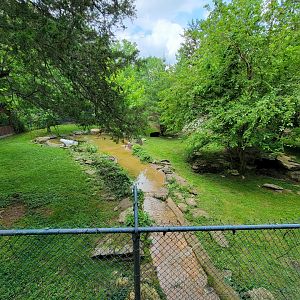 Salato - Bear yard from platform