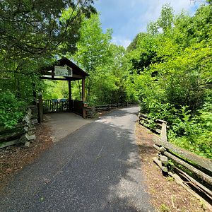 Salato - Path, Living Stream