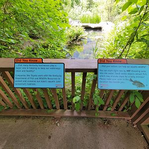 Salato - Living Stream signage