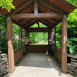 Salato - Another bear viewing spot