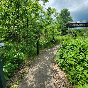 Salato - Bobwhite - Food and water path, with signs to lift up