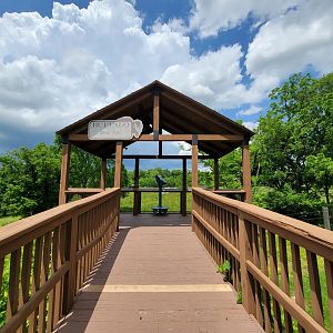 Salato - Bison viewing platform