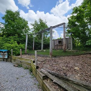 Salato - Birds of prey area, empty