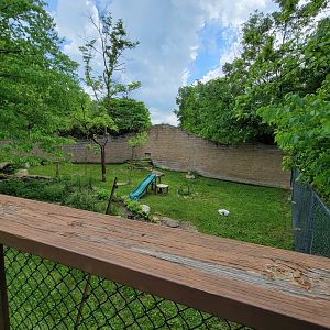 Salato - Bobcat yard