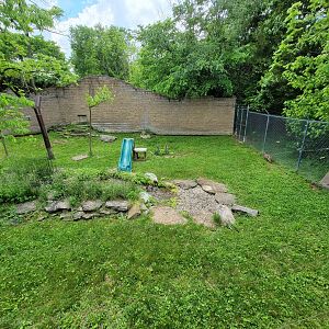 Salato - Bobcat yard