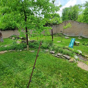 Salato - Bobcat yard