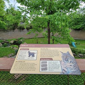 Salato - Bobcat yard