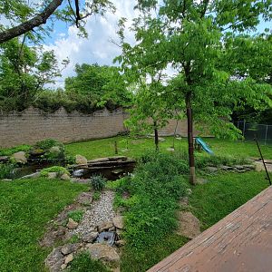 Salato - Bobcat yard