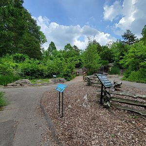 Salato - Path to stream