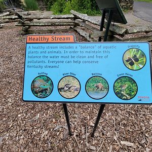 Salato - Stream info