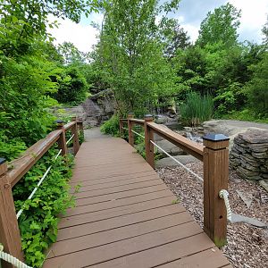 Salato - Stream bridge