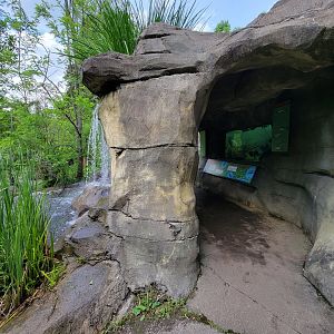 Salato - Stream waterfall, with view of fish tank under fall